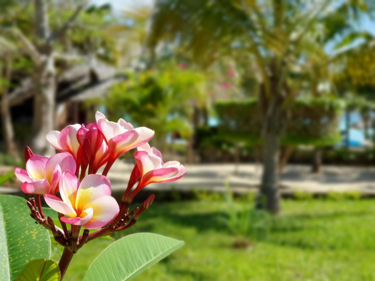The Zanzibari Hotel Нунгви Екстериор снимка